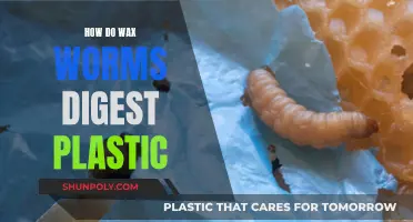 Wax Worms: Plastic-Eating Heroes