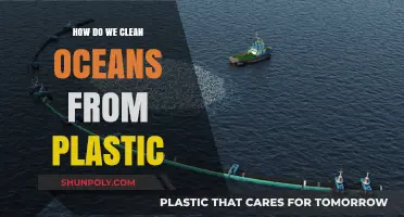 Innovative Solutions to Rid Our Oceans of Plastic Pollution