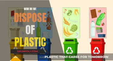The Plastic Disposal Problem: Effective Strategies Needed