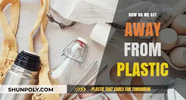 Breaking Free from Plastic: Sustainable Alternatives for a Greener Future