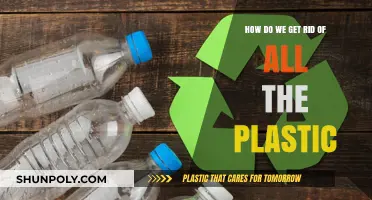 Eliminating Plastic Waste: Sustainable Solutions for a Greener Future