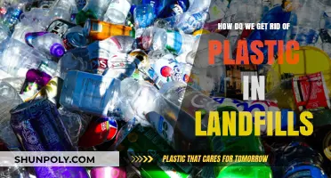 Sustainable Solutions: Eliminating Plastic Waste from Landfills Effectively