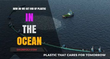 Ending Ocean Plastic: Sustainable Solutions for a Cleaner, Healthier Planet