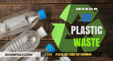 Eliminating Plastic Waste: Sustainable Solutions for a Greener Future