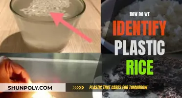 Identifying Plastic Rice: Simple Ways to Spot the Fake