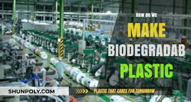 Creating Eco-Friendly Solutions: The Process of Making Biodegradable Plastic