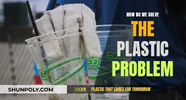 Solving the Plastic Problem: A Sustainable Future