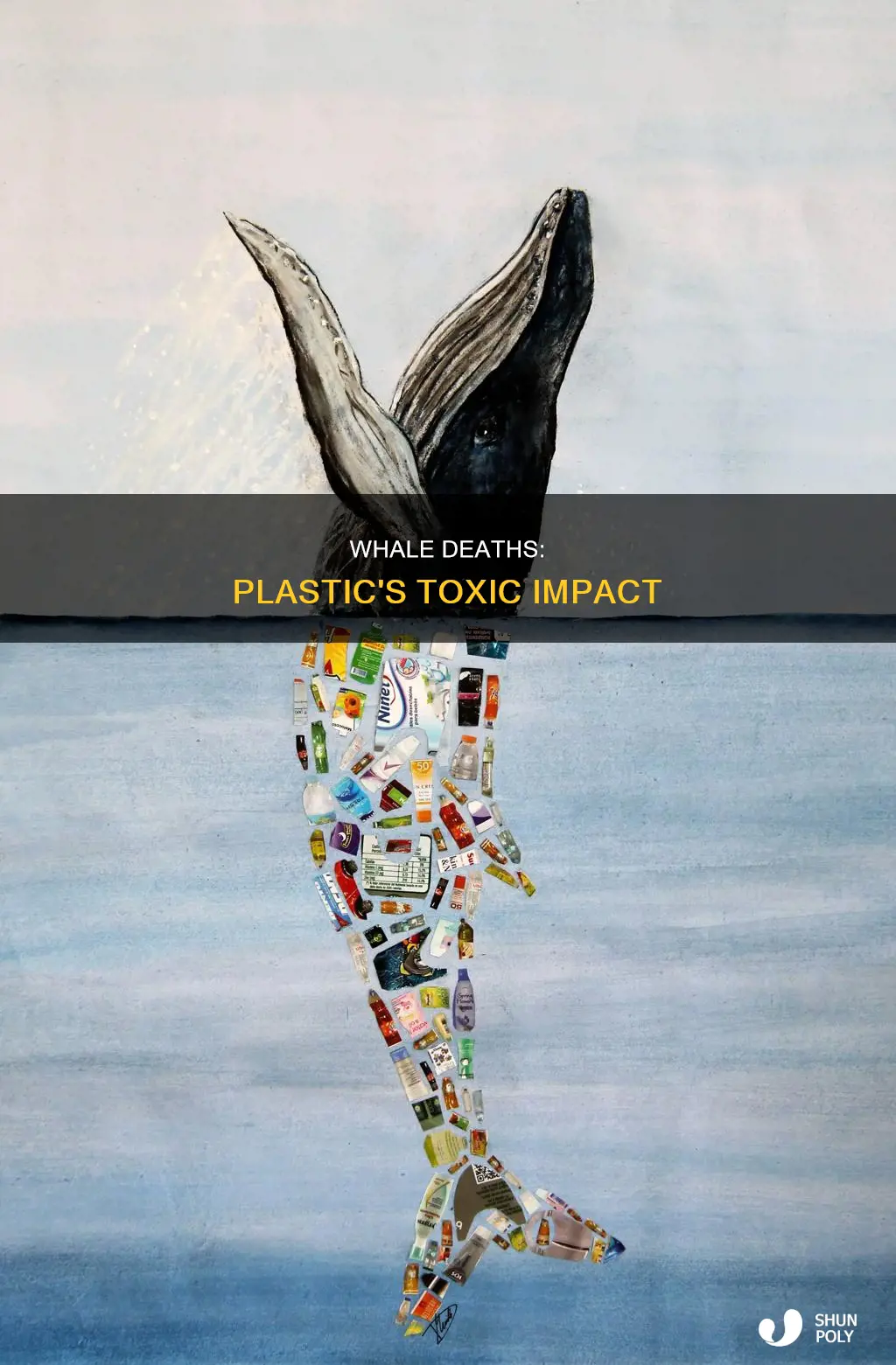 how do whales die from plastic