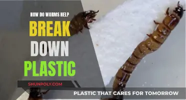 Worms: Plastic-Eating Superheroes in Soil