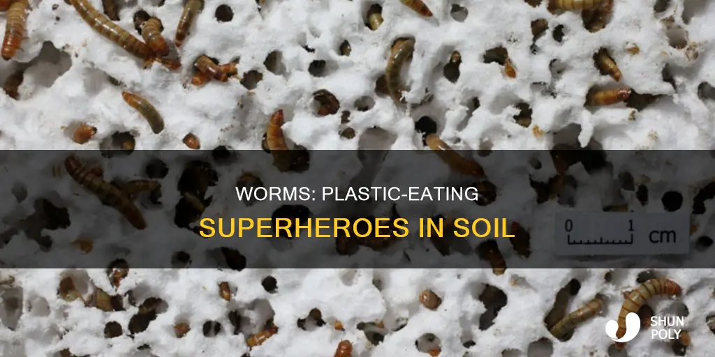 how do worms help break down plastic