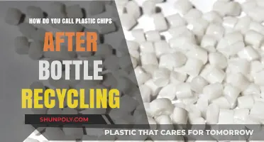 From Bottles to Bits: Understanding Recycled Plastic Chips