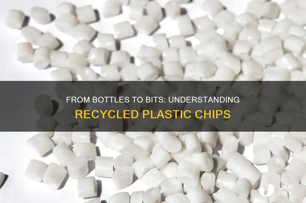 how do you call plastic chips after bottle recycling