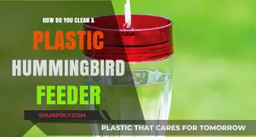 Easy Steps to Clean Your Plastic Hummingbird Feeder Effectively