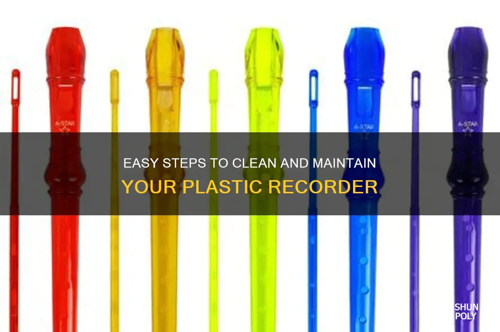 how do you clean a plastic recorder