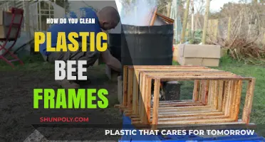 Effective Cleaning Techniques for Plastic Bee Frames: A Step-by-Step Guide