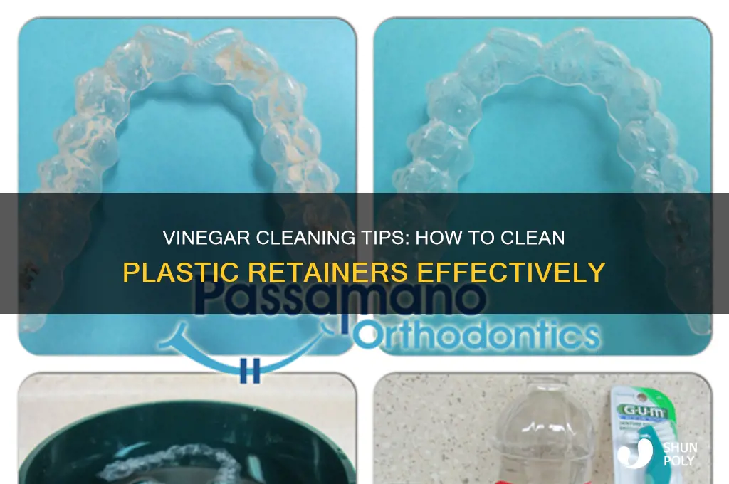 Does Vinegar Destroy Plastic
