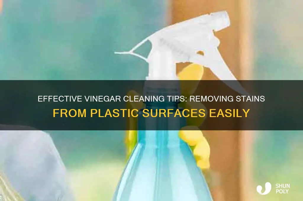 how do you clean stains from plastic with vinegar