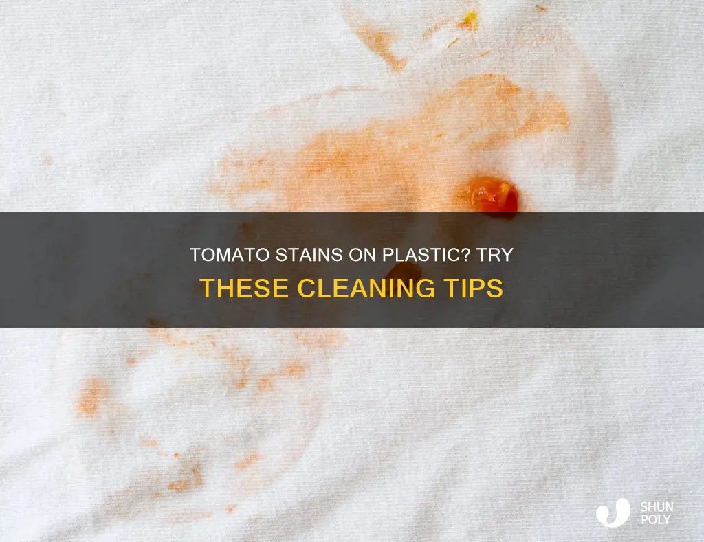 how do you clean tomato stains from plastic containers