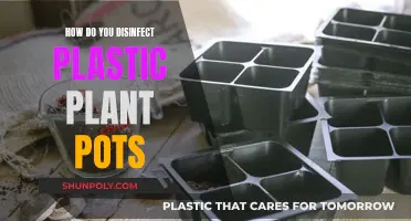 Sanitizing Plastic Planters: A Step-by-Step Guide