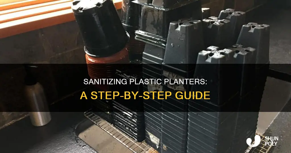 how do you disinfect plastic plant pots