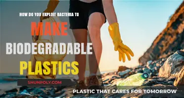 Harnessing Bacteria: Crafting Eco-Friendly, Biodegradable Plastics for a Greener Future