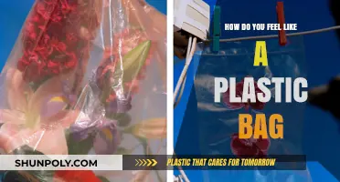 Drifting Yet Weighted: Embracing the Metaphor of a Plastic Bag