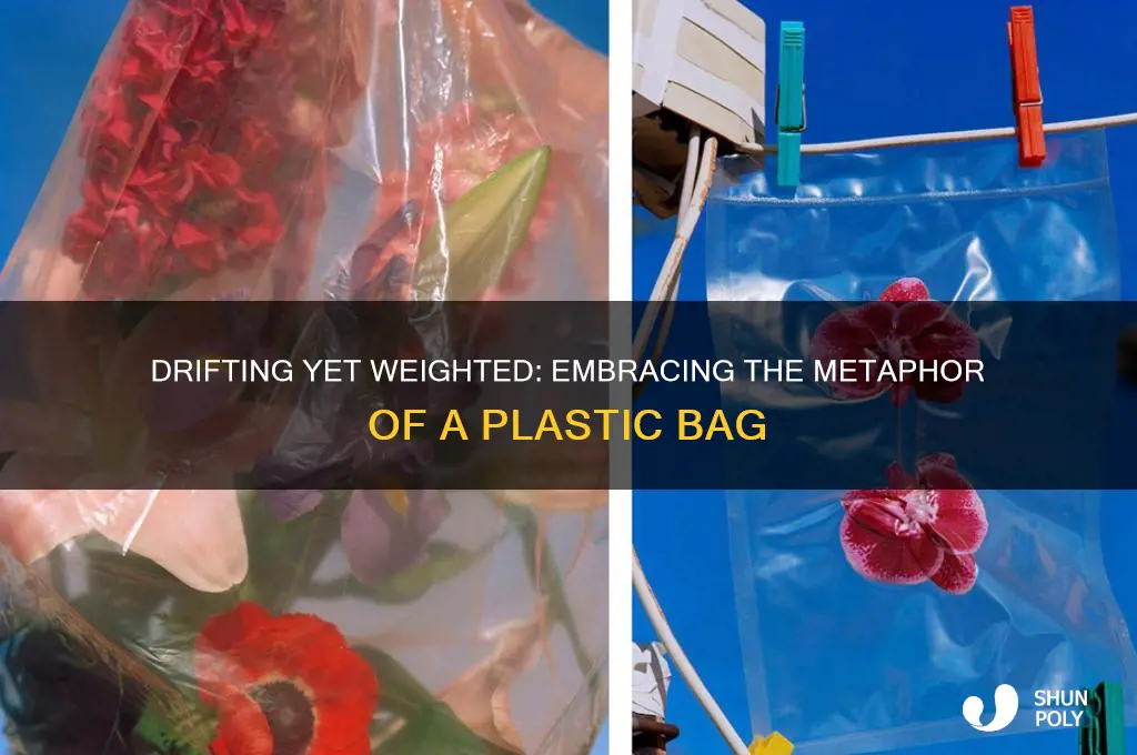 how do you feel like a plastic bag