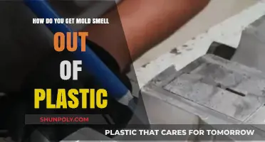 Effective Ways to Eliminate Mold Smell from Plastic Items