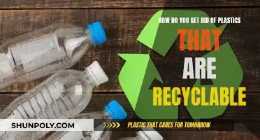 Recycling Plastics: Effective Methods for a Greener Future