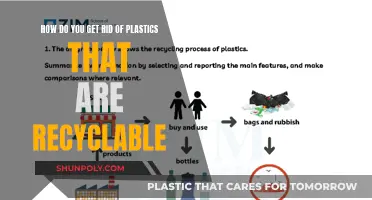 Recycling Plastics: Effective Disposal Methods for a Greener Tomorrow