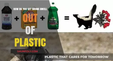Effective Ways to Remove Skunk Odor from Plastic Items
