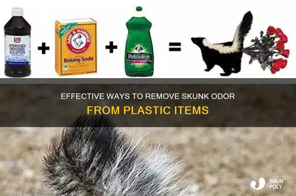 how do you get skunk smell out of plastic