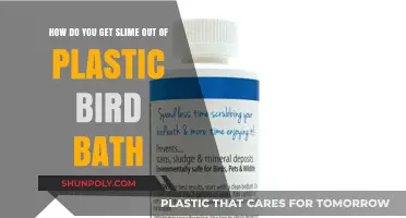 Effective Ways to Remove Slime from Your Plastic Bird Bath