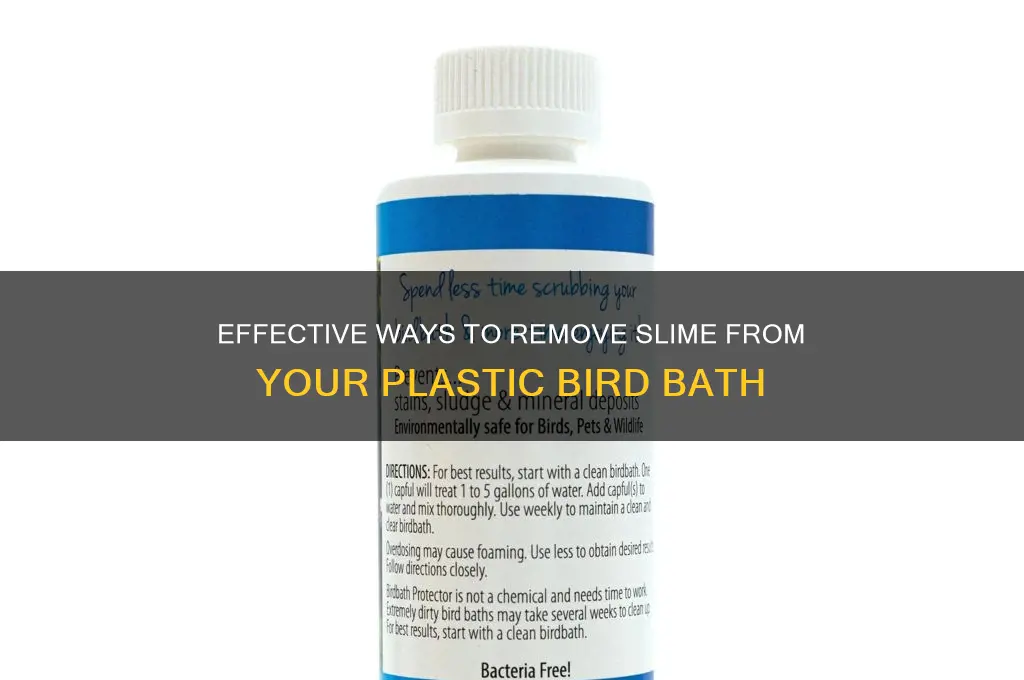 how do you get slime out of plastic bird bath