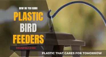 Hanging Plastic Bird Feeders: A Step-by-Step Guide