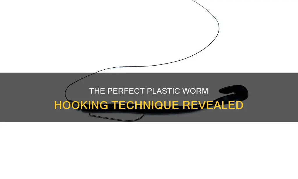 how do you hook a plastic worm