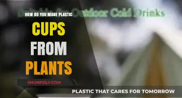 Sustainable Solutions: Crafting Plant-Based Plastic Cups for Eco-Friendly Living