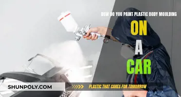 Painting Plastic Body Moulding: A Guide for Cars