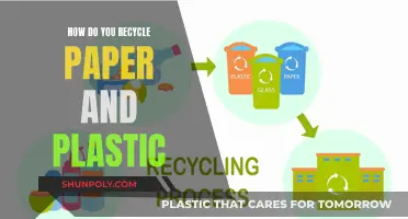 Recycling Basics: Paper and Plastic Made Easy