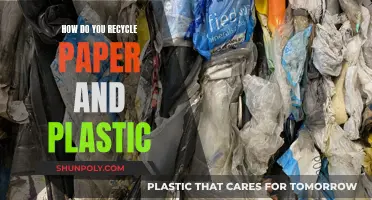 Effective Ways to Recycle Paper and Plastic at Home