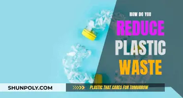 Reducing Plastic Waste: Small Steps, Big Impact