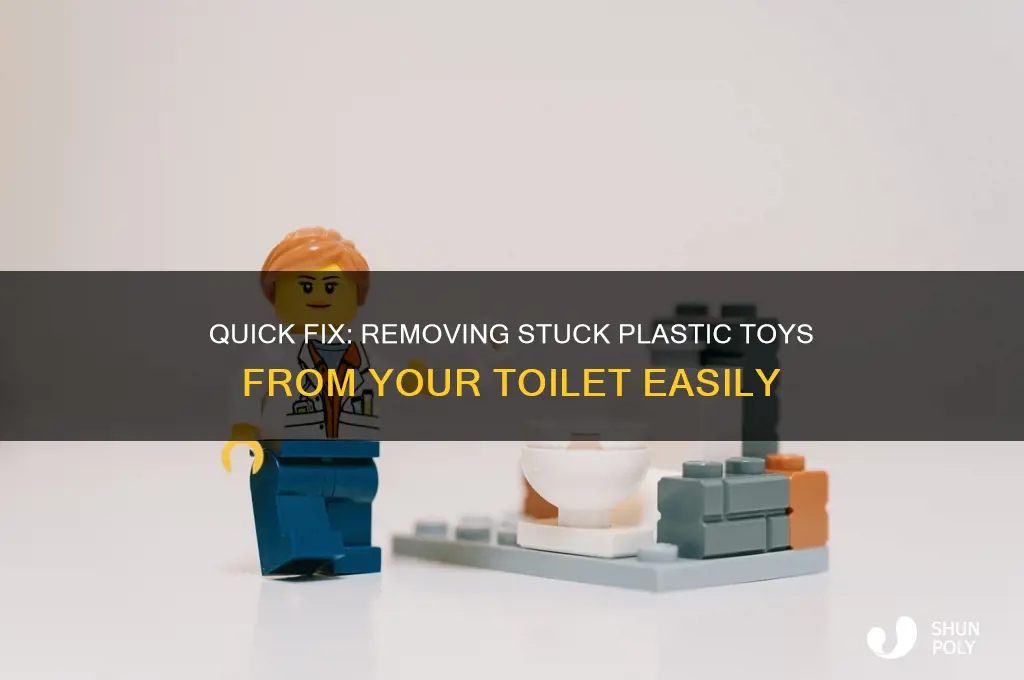 how do you remove a plastic toy from a toilet