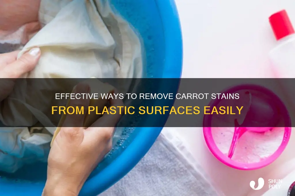 how do you remove carrot stains from plastic