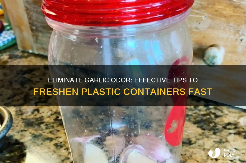 how do you remove garlic smell from plastic