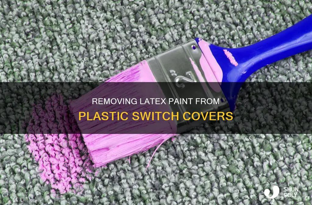 how do you remove latex paint from plastic switch cover