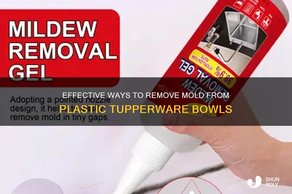 how do you remove mold from inside plastic tupperware bowls