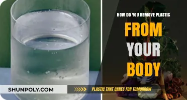 Detox Your Body: Effective Ways to Eliminate Plastic Toxins Naturally