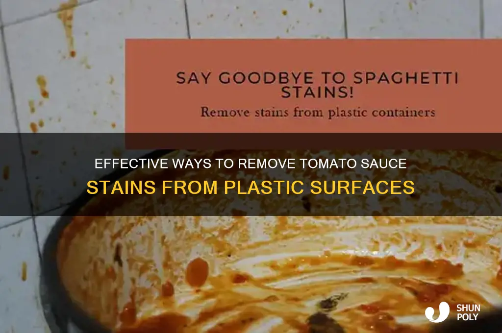 how do you remove tomato sauce stain from plastic
