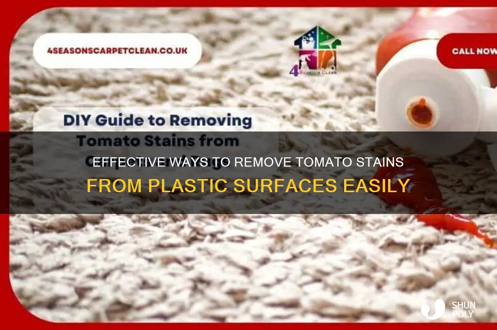 how do you remove tomato stains from plastic