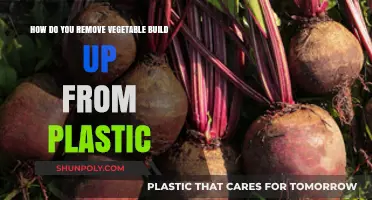 Effective Ways to Remove Vegetable Build-Up from Plastic Surfaces